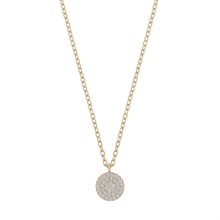 Hanni coin pendant neck 55 g/clear