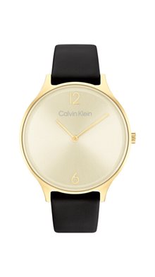 Calvin Klein Timeless 2h